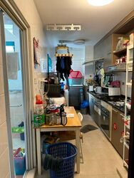 Blk 13 Farrer Park View (Kallang/Whampoa), HDB 5 Rooms #503307641